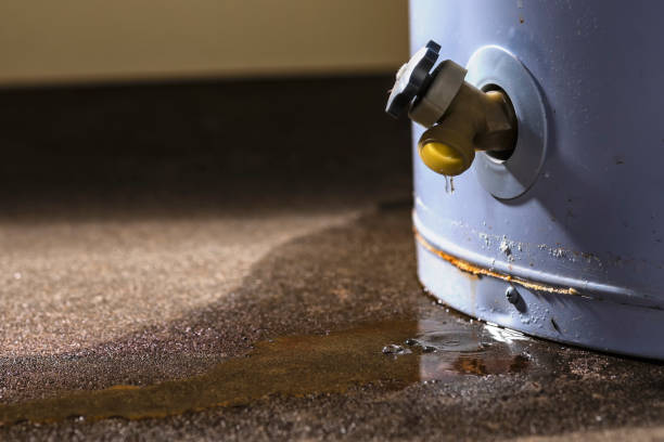 Best Residential water damage restoration  in Morgantown, PA