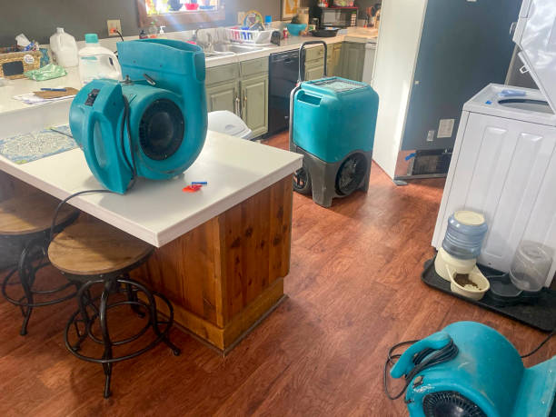 Best Water damage repair service  in Morgantown, PA