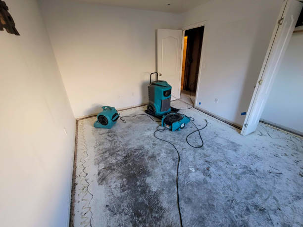 Trusted Morgantown, PA Water damage restoration Experts