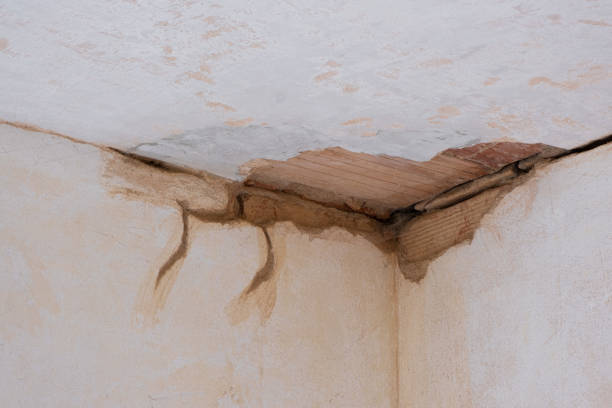 Best 24-hour water damage restoration  in Morgantown, PA