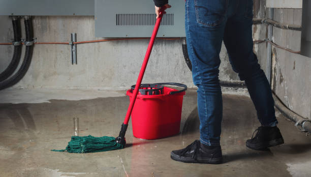 Best Residential water damage restoration  in Morgantown, PA