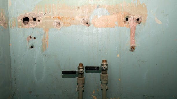 Best Flooded house restoration  in Morgantown, PA
