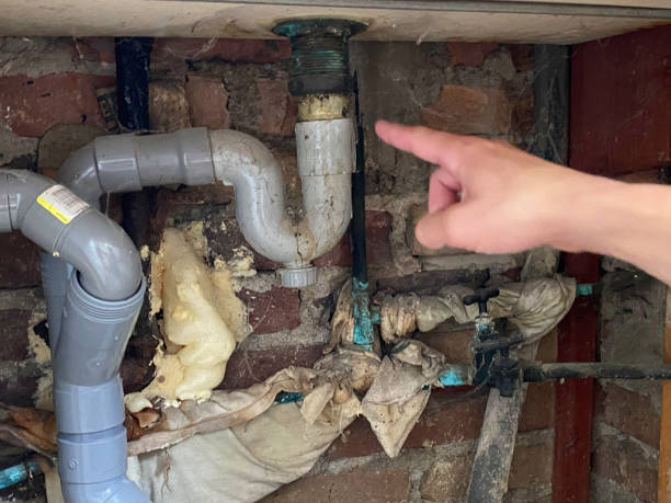 Best Carpet water damage restoration  in Morgantown, PA