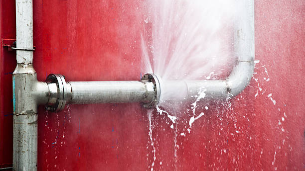 Best Mold removal after water damage  in Morgantown, PA