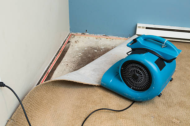 Best Sewage cleanup and water damage restoration  in Morgantown, PA